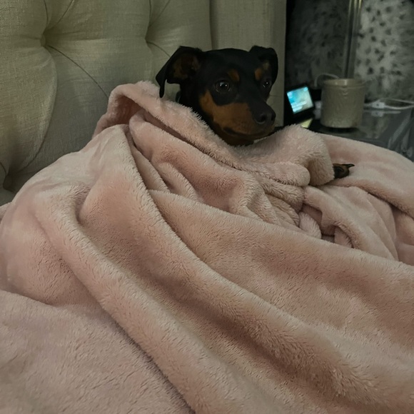 Meet your Posher, Regina - Picture 5 of 10